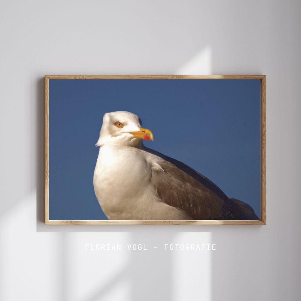 Fotografie von Florian Vogl